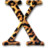 系统OS X的捷豹 System OS X Jaguar
